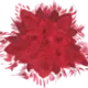 Vinařství Ševčík