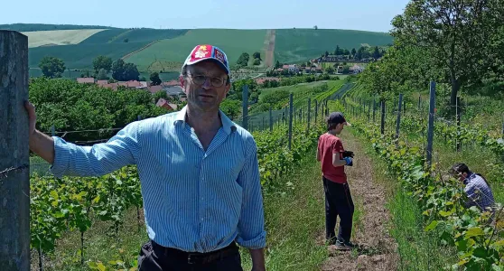 Vinařství Ševčík